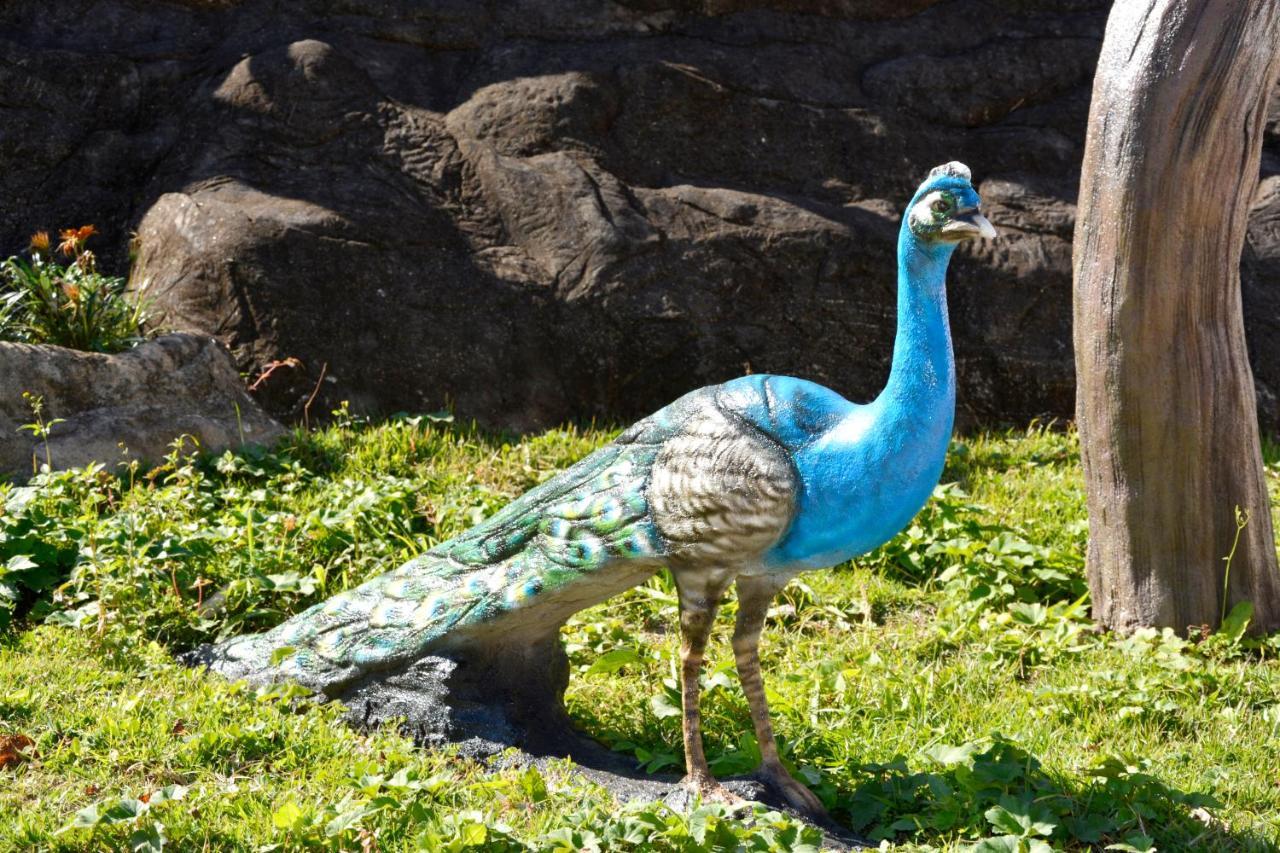 Pousada Museu Estrada Real Hotell Caxambu Eksteriør bilde